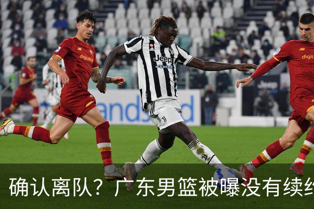 确认离队？广东男篮被曝没有续约杜锋，新主教练人选正式曝光！